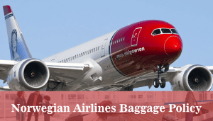 norwegain airlines baggage policy